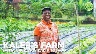 Visit to Kaleb's Farm in Santa Cruz, Trinidad & Tobago