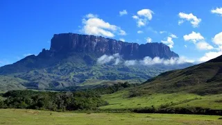 Тварини Південної Америки. Частина перша. Відео для дітей./ Animals of South America.