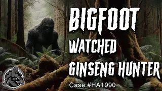 Ginseng Hunter Runs Into Bigfoot in Hazard, Kentucky #bigfoot #kentucky #scary #shorts #fyp