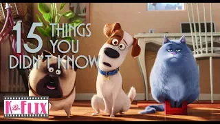 15 Things you might not have known about Secret Life of Pets | Easter Egg | Spoilers