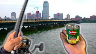 NON-STOP action with this EASY fishing rig...Urban Fishing in the City