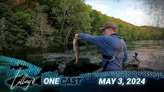 Lilley's One Cast, May 3