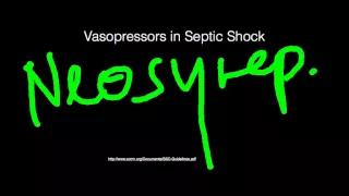 Vasopressors in Septic Shock