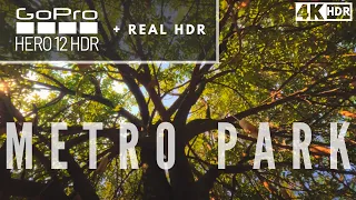 GoPro HERO 12 HDR 10bits + Real HDR, Rec.2020, HLG, 4k + GoPro labs 200... Color grading footage