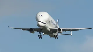 Beluga XL3 First attempt at landing at Hawarden airport 22 October 2020