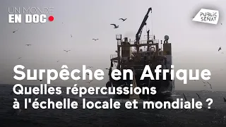 Un monde en doc : Surpêche dans les eaux africaines : quelles répercussions locales et mondiales ?