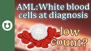 Why can patients have either a high or low white blood cell count at diagnosis? #AML