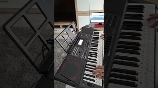 Фантазия,ля-минор,casio ct-x5000