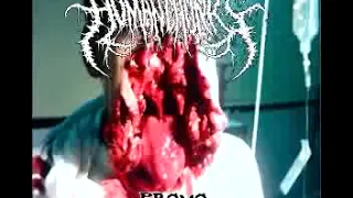 Human Chunks "Charred Twat Delicacy" promo 2014