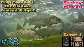 Fishing Planet | #38 - S3 | White Moose Lake: TROPHY Lake Whitefish Hotspot!