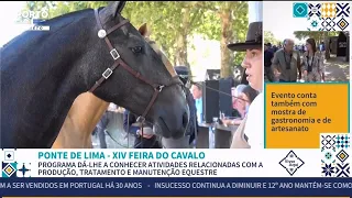 Reportagem da XIV Feira do Cavalo de Ponte de Lima