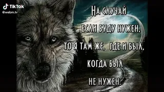 Душа Волка|Цитаты💔🥀