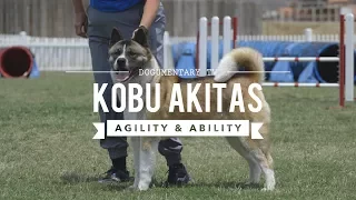 ALL ABOUT THE AMERICAN AKITA