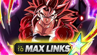 REALLY STRONG! LIMIT BREAKER SSJ4 VEGITO MAX LINKS RAINBOW SHOWCASE (DBZ: DOKKAN BATTLE)