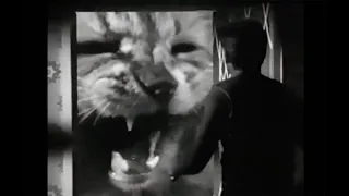 The Incredible Shrinking Man - Jack Arnold (1957)