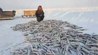 НЕМНОГО ПОЙМАЛИ! КАК РЫБАЧАТ В АРКТИКЕ???