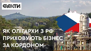 Россияне скрывают бизнес за границей: какой режим предприниматели из РФ устраивают на заводах