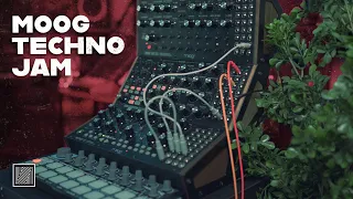 Techno jam with Moog DFAM, Subharmonicon & Mother-32