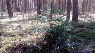 Сбилась с пути... Знаки. Подсказки.