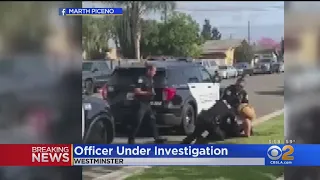 Westminster Officer On Paid Leave After Punching Handcuffed Woman