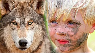 Chłopiec uratował królową wilków. To co zrobiła wilczyca było niesamowite.