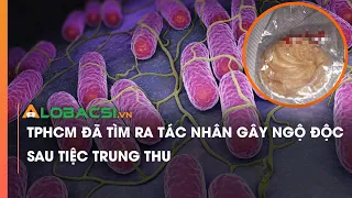 TPHCM đã tìm ra tác nhân gây ngộ độc sau tiệc Trung thu