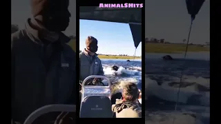 БЕГЕМОТ 🦛 гонится за Лодкой 🛥 Тренды Тик Ток 2021 #shorts #tiktok #animals