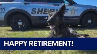 K9 Dax in full retirement mode after serving 9 years in Lake County