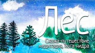 Сказка-путешествие | ЛЕС | Медитация для подростков и детей