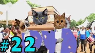Coffin Dance Meme: Dog and Cat Meme Compilation 2021 #22