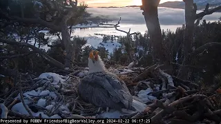 2-22-2024 Morning Eagle Song