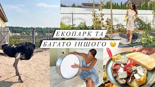 СМАЧНЕ М'ЯСО ТА ПИРІГ ЗІ СЛИВАМИ 😋 Мій городик / Нова люстра 🥰 ЕКОПАРК 😍