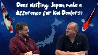 Exclusive Interview: Do Japan Trips Matter for Koi Dealers?