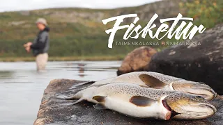 Fishing trip to Finnmark, Norway [ENG SUB]