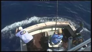 1000lb Marlin - How to catch a MASSIVE BLACK MARLIN with Paul Worsteling - IFISH - GRANDER