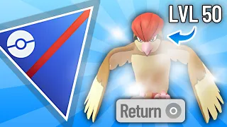 NOBODY EXPECTED LEVEL 50 *RETURN* PIDGEOTTO TO HIT THIS HARD IN THE GREAT LEAGUE!