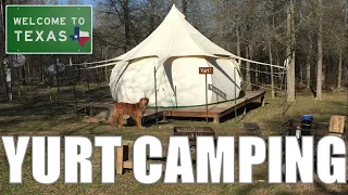 Yurt Camping | Green Acres - Elgin, Texas