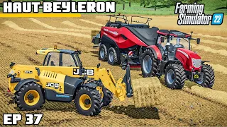 HOW MANY CAN THIS BEAST MAKE? | Farming Simulator 22 - Haut-Beyleron | Episode 37