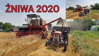 Żniwa 2O2O 👉 BIZON SUPER ZO56 + URSUS C 360/4011+AUTOSAN👈