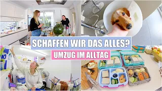 Umzug vorverlegt! 😱 Operation | Küche & Wäscheraum ausräumen | Isabeau