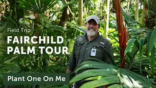 PALM TOUR at Fairchild Tropical Botanic Gardens — Ep. 316