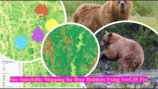 Site Suitability Mapping for Bear Habitats Using ArcGIS Pro