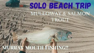 SOLO BEACH TRIP! Catching Mulloway and Salmon Trout//Murray Mouth S.A.