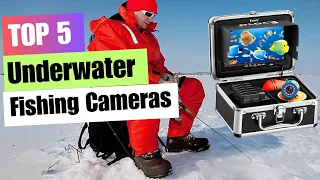 5 Best Underwater Fishing Cameras of 2024 | Top Picks! 🐬