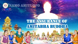 The assurance of Amitabha Buddha｜By Dharma Master Huijing