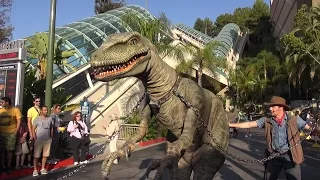 Raptor Encounter at Universal Studios Hollywood, Jurassic World, Jurassic Park - Tango Dinosaur Live