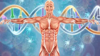 HEALING ALPHA  WAVES FULL BODY In 4 Minutes - Full Body Repair and Regeneration at 432Hz