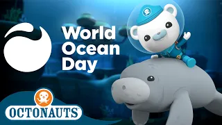 ​@Octonauts - World Ocean Day 🌊 🌎 | 60 Mins+ Special! | Cartoons for Kids | Underwater Sea Education