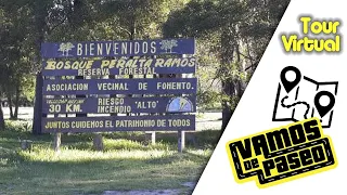 Bosque Peralta Ramos |  Mar del Plata | 4K
