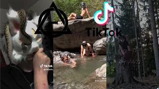 Therian and Quadrobics TikToks || Compilation 🐾🍂 || Alterhumans of TikTok #27